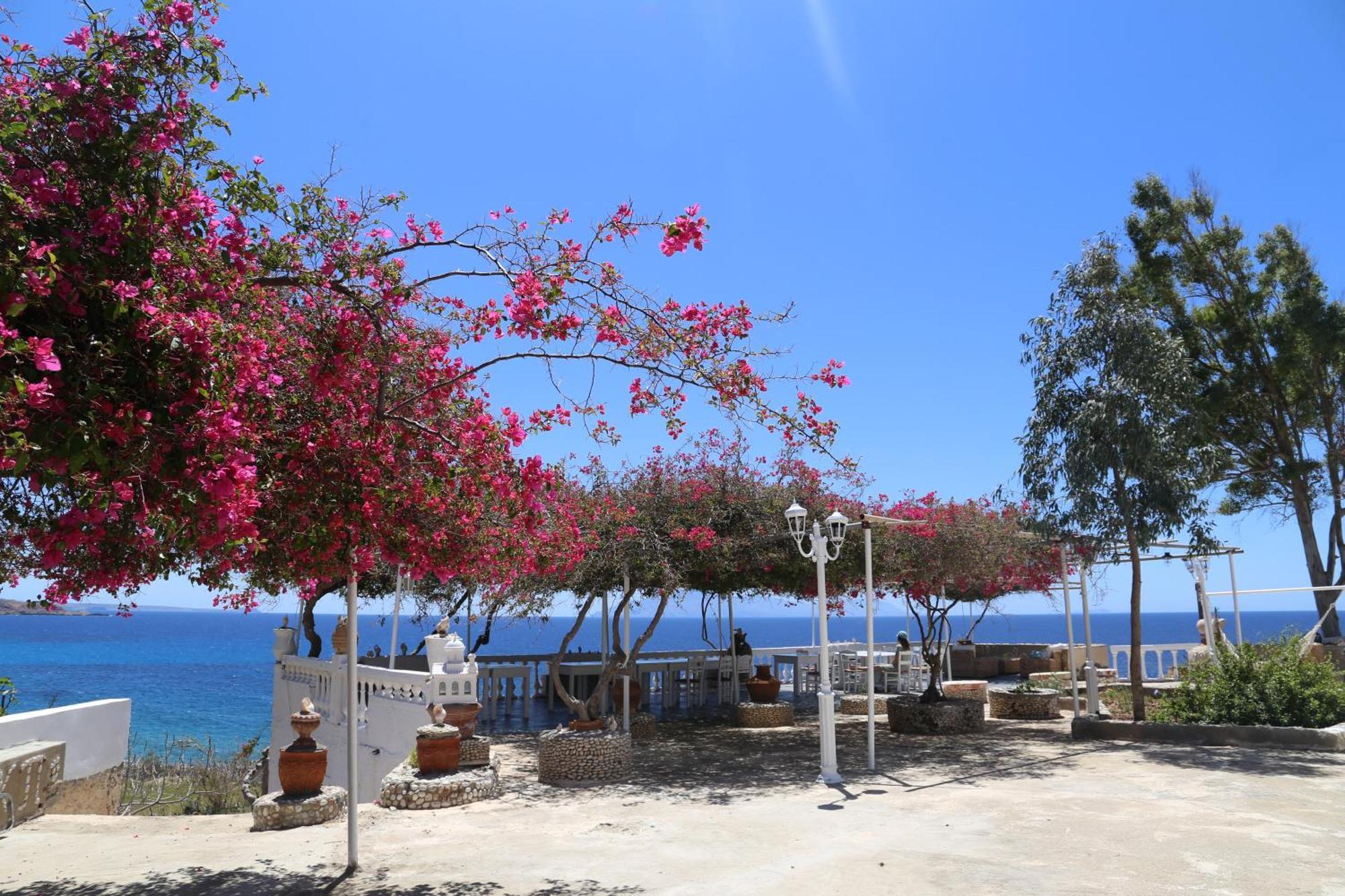 Апарт отель Kathys Island Retreat Adia Экстерьер фото